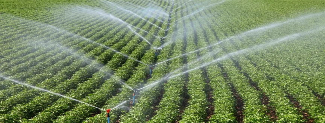 Kırsal Kalkınma Desteklerinde Hibe Oranları Arttı!