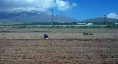 Adilcevaz`da Sebze Ekim Hazırlıkları