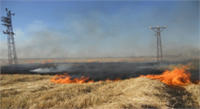 Anız Yangınına Son Veren Buluş Çiftçileri Sevindirecek