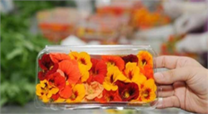 Bu Çiçekler Yenilebiliyor
