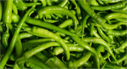 Fiyat ve Hava Şartları Biber Üretimini Düşürdü