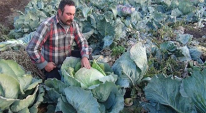 Organik Sebze Yetiştiren Mevsimlik Çiftçilere Konteyner Ev