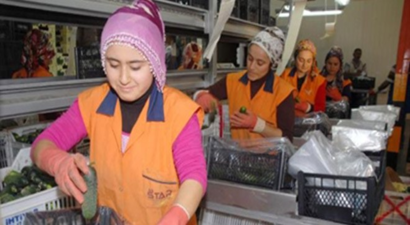 Rusya`nın Ambargosu Üreticiyi Umutlandırdı