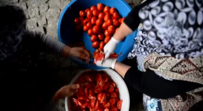 Salça Makinesi Kadınların `Ekmek Teknesi` Oldu