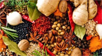 Şifalı Bitkilerin Bilinçsiz Kullanımı Kansere mi Neden Oluyor?