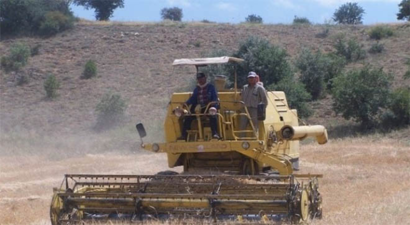 Beyşehir`de Biçerdöver Kontrolleri Dane Kaybını En Aza İndirdi