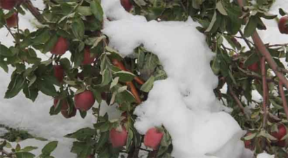 Hakkari`de Kar Yağışı 500 Bin TL`ye Mal Oldu