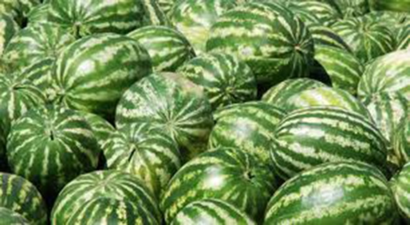Karpuzdaki Hastalık ABD`den yayıldı