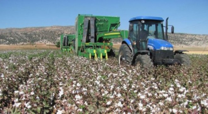 Silopi`de Makineli Pamuk Hasadı