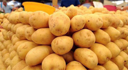 Patatesteki Pazarlama Sorunu Hem Üreticiyi Hem de Tüketiciyi Mağdur Ediyor
