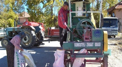 Sellektörler Gelecek Yılın Tohumlarını Hazırlıyor