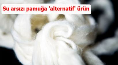 Su arsızı pamuğa `alternatif` ürün