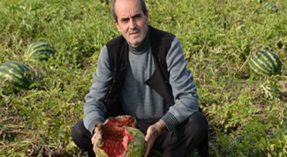 Tarlayı Su Basınca 200 Ton Karpuz Çürüdü
