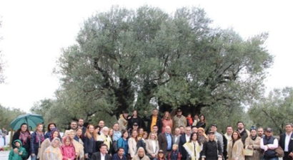 `Zeytinin Başkenti` Akhisar Hasat Şenliği ile Coştu