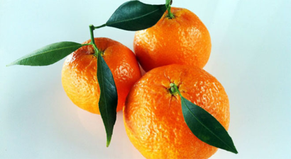 Adana, Dünyanın Ağız Tadını Değiştirecek