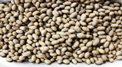 Burhaniye`de Zeytin Çekirdeği Kalorifer Yakıtı Oldu