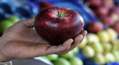 Çanakkale Elmaya Buzhanede Değer Kazandırıyorlar