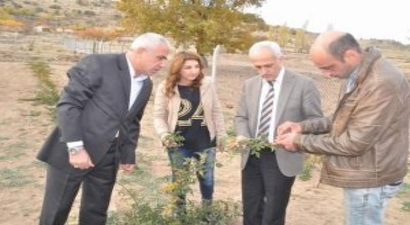 Çiftçiler Tarım Danışmanları Sayesinde Kaliteli Ürün Yetiştirecek