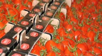 Domatexpo`da 60 Tarım Firması Stant Açacak