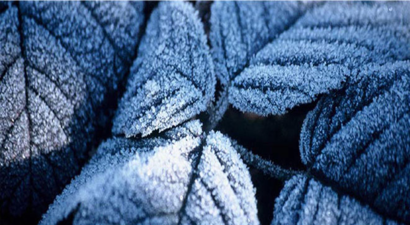 Malatya`da Orta Kuvvette Don Uyarısı