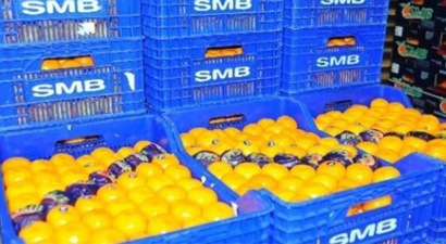 Dünyanın En Kaliteli Mandalinasının Sezonu Başladı