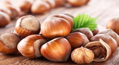 Giresun`da fındık fiyatı yeniden yükselişe geçti