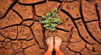 Kuraklık İçin Sigorta Çalışması