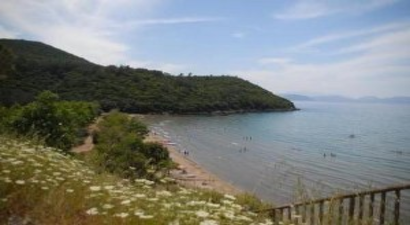 Milli Park`ta Delice Zeytin Tartışması