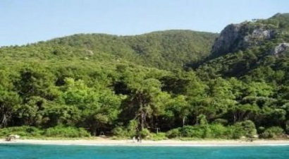 Milli Parkta Zeytin Toplama İhalesine Yürütmeyi Durdurma