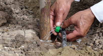 Tarımda Modern Sulamanın Payı Yüzde 25`e Çıkarılacak