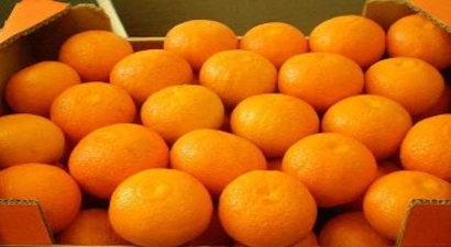 Narenciye Çekirdekleri Endüstriyel Ürünlere Dönüşecek