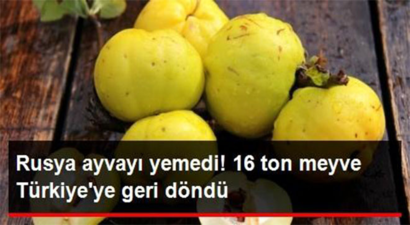 Rusya Ayvayı Yemedi! 16 Ton Meyveyi Türkiye`ye Geri Gönderdi
