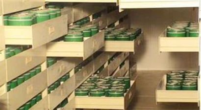 Türkiye`nin Tohumları `Gen Bankası`Nda Toplanıyor