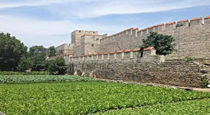 Topbaş Umuyoruz Ki Bostanları Korur