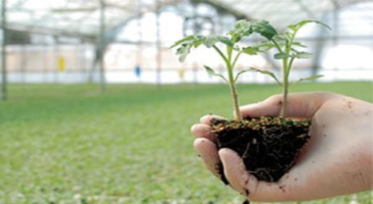 Üretim sezonu yağışlı başladı