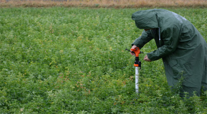 Yağışlar Çiftçiyi Sevindirdi