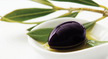 Ayvalık`ta `Zeytinyağı, Hayat Bağı` Paneli