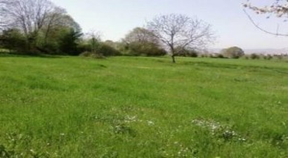 5 Bin 870 Dekar Zirai Arazi Suya Kavuşacak