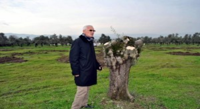 Zeytinliklerin Satılmasına Tepki Gösterdiler