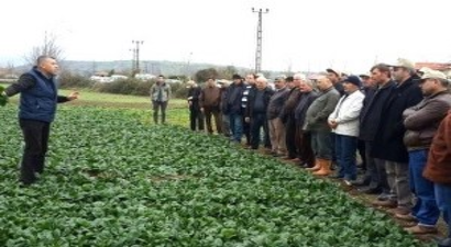 Bafra`da Tarla Günü Düzenlendi