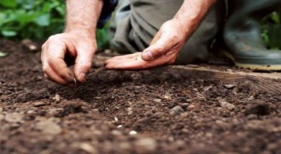 Bilecik`te `Bahçıvanlık` Kursu Sertifika Töreni