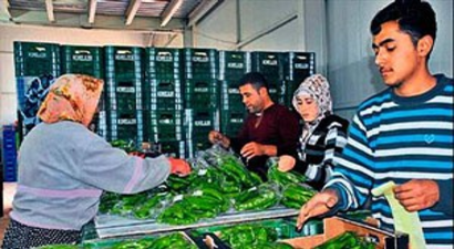 Bir tepki de Demreli üreticilerden