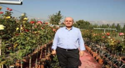 Ceviz Yetiştiriciliğinde Doğru Bilinen Yanlışlar