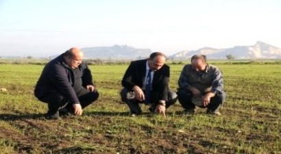 Ceyhan`a Yapay Mera Tesisi