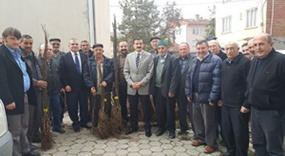 Söğüt İlçesinde Çiftçilere Ceviz Fidanı Dağıtıldı