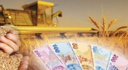 Desteklemelerin Erken Ödenmesi Talebi