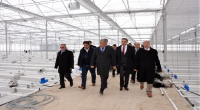 Türkiye`nin En Büyük ve En Modern Serası Diyadine Kuruluyor