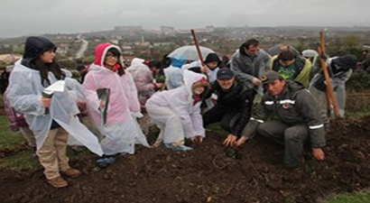 2 Bin Adet Badem Fidanı Dikildi
