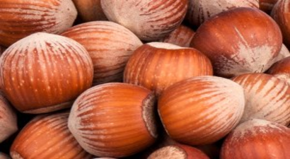 Fındık Kasım`da fiyatı en çok artan ürün oldu