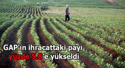 GAP`ın ihracattaki payı yüzde 5.8`e yükseldi